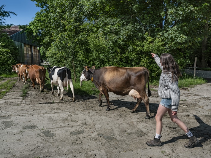 Warmonderhof Veehouderij - opleiding bedrijfsleider biodynamisch bedrijf