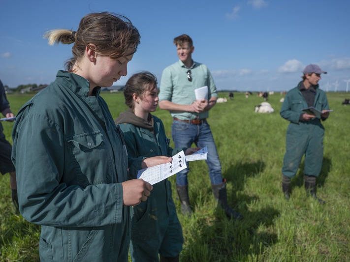 Aeres Weidestal - Opleidingen bedrijfsleider biodynamisch bedrijf en Vakbekwaam medewerker biodynamische landbouw aan Aeres Warmonderhof