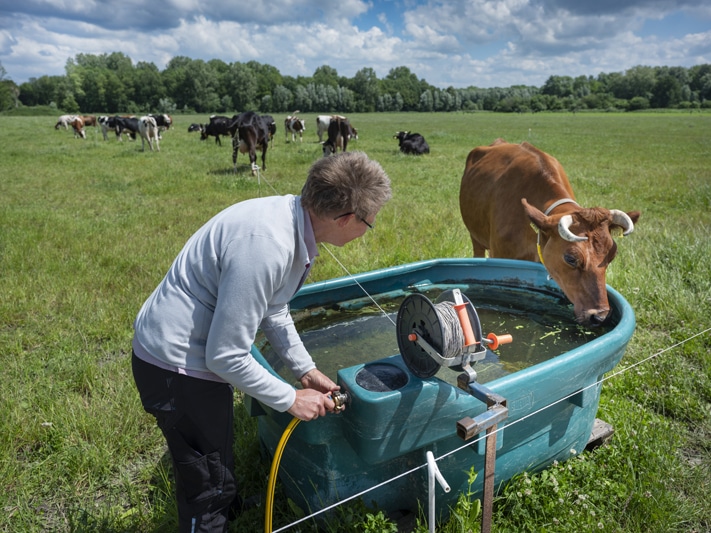 Warmonderhof Veehouderij - opleiding vakbekwaam medewerker biodynamische landbouw.