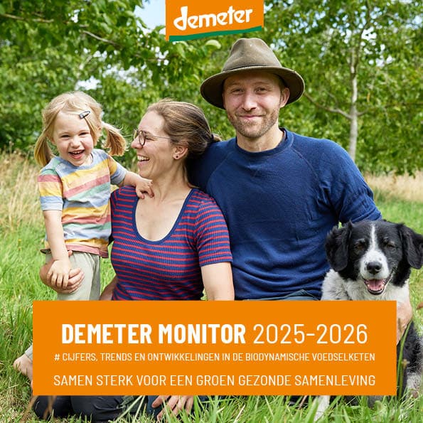 4113 Demeter Monitor 2026