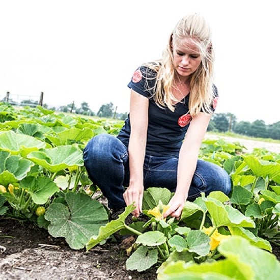 Afbeelding-vacature-Bestuiver-en-Gewasverzorger