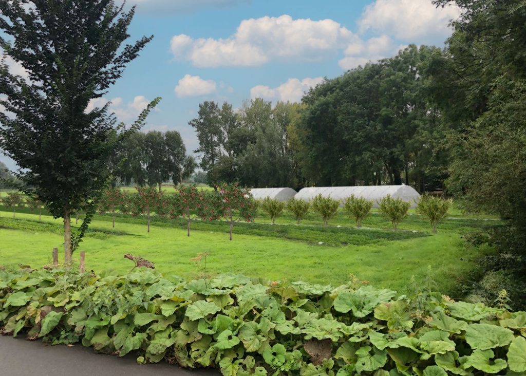 Agroforestry Amsterdam