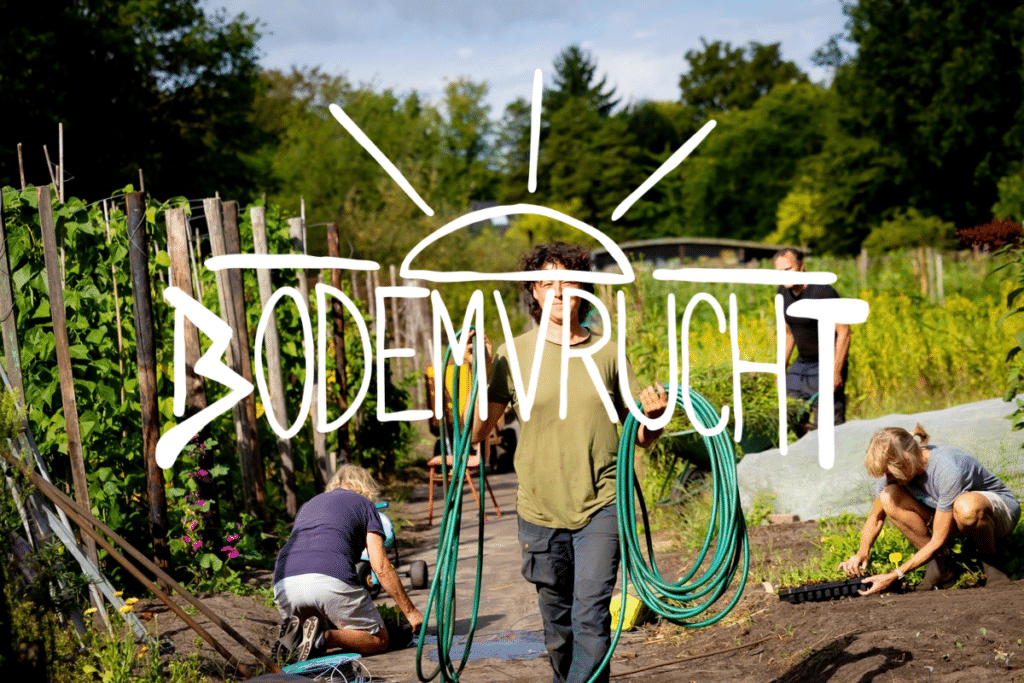 BOdemvrucht