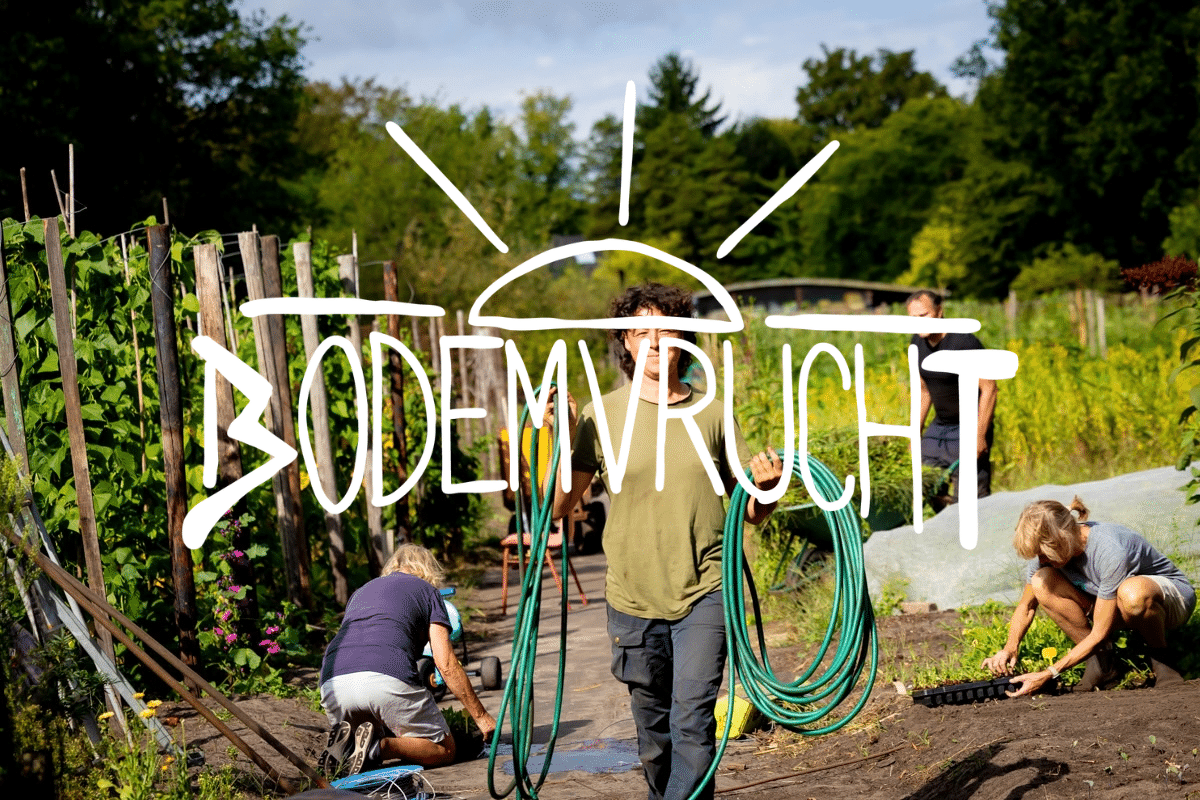 BOdemvrucht