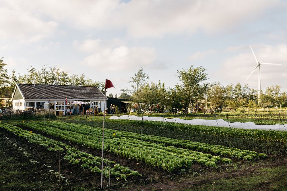 Vacaturebank Warmonderhof - Tuinder Bij Mei