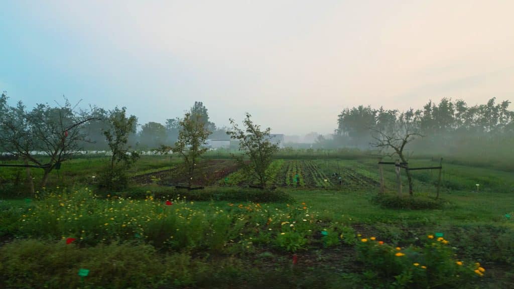 BijMei-apr26