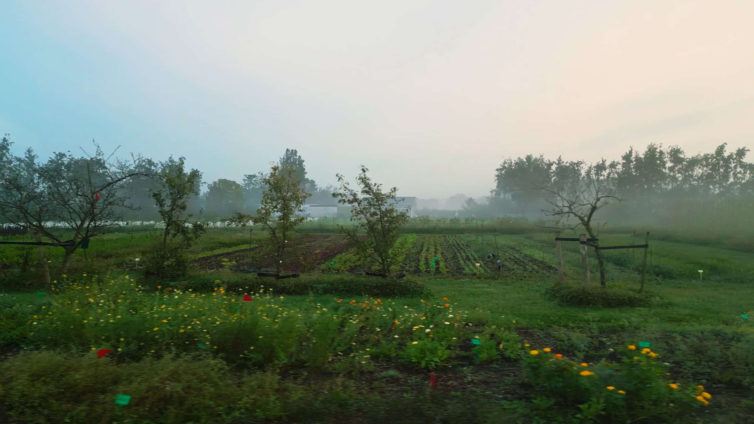 BijMei-apr26
