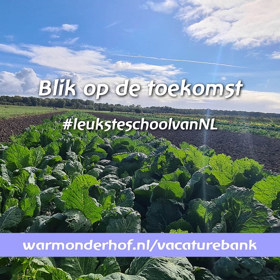 Blik-op-de-toekomst