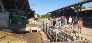 Buitenlandexcursie langs Franse en Belgische bio- en bd-boerderijen.