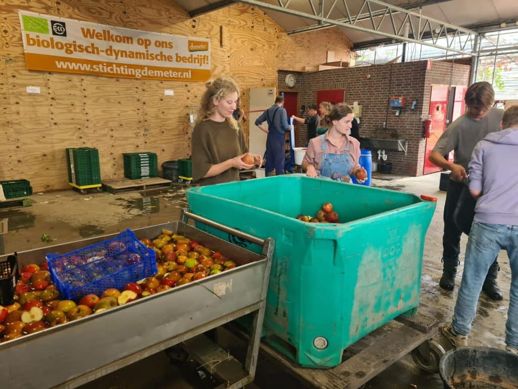 Cider maken tweedejaars Warmonderhof