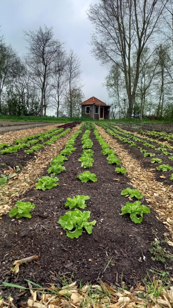 Vacaturebank Warmonderhof Landjuweel de Hoeven