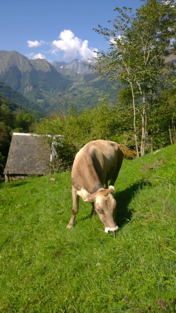 Ferme de Rouze