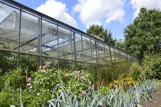 Genneper-Hoeve-Medewerker-Tuinbouw