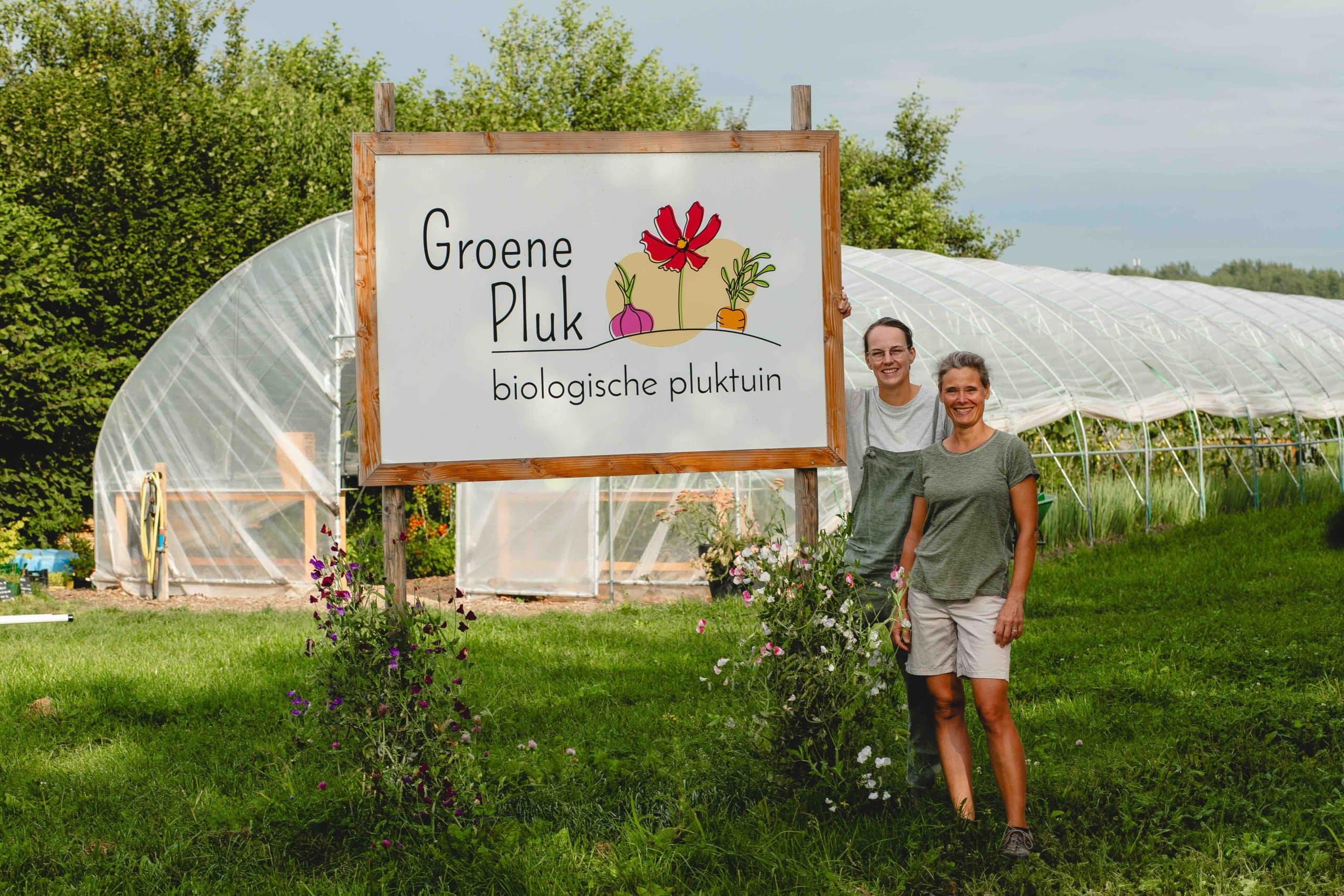 Groene pluk