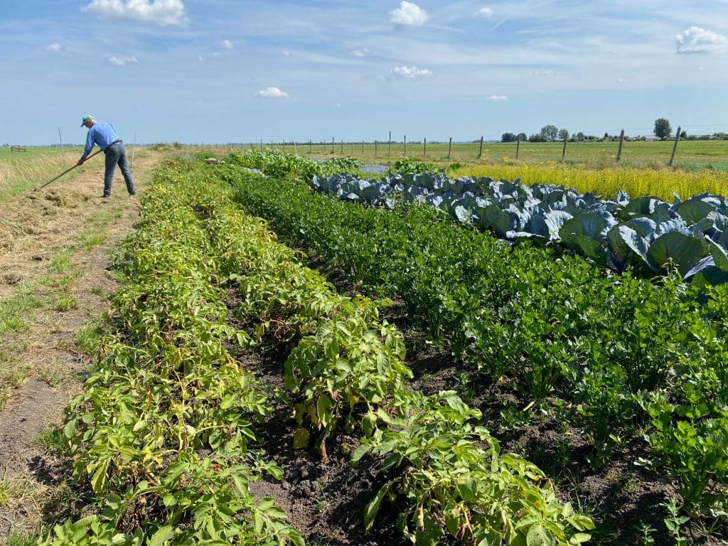 Vacaturebank Warmonderhof Vegaboerderij Groenhart