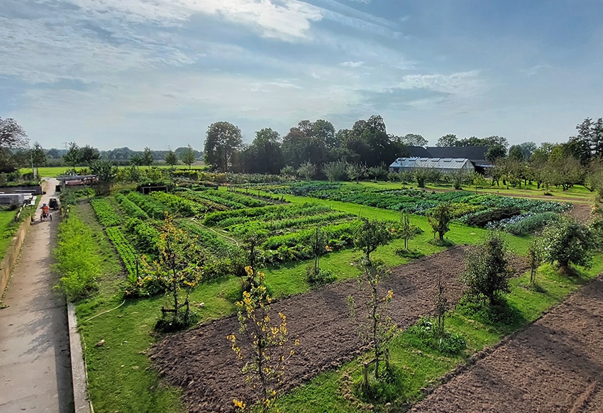 Vacature biodynamische landbouw