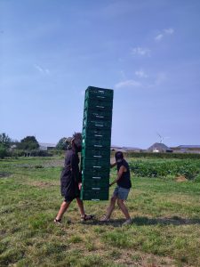 Spelletjesmiddag BOL.-introductie Warmonderhof biodynamische landbouw