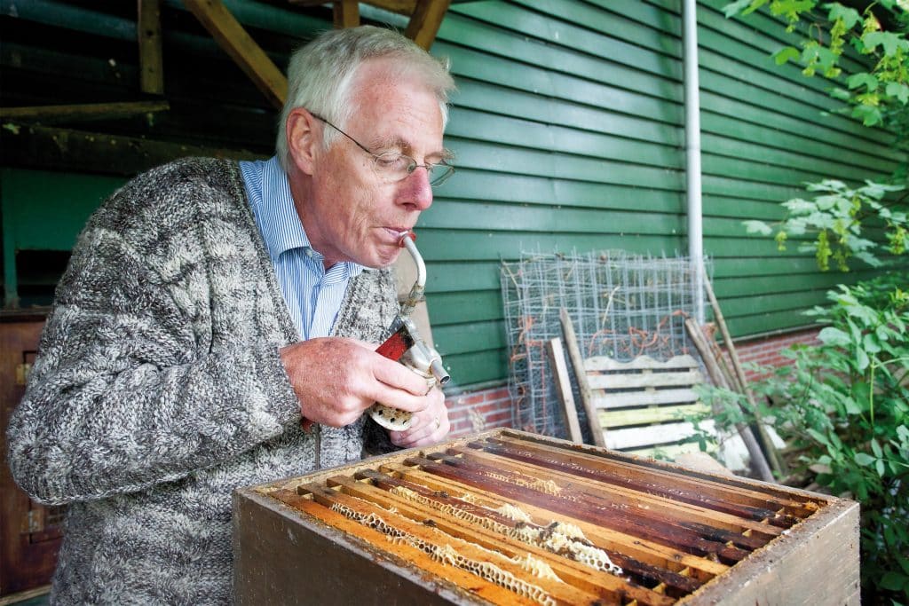 Avondklas Bijenhouden Imker Warmonderhof