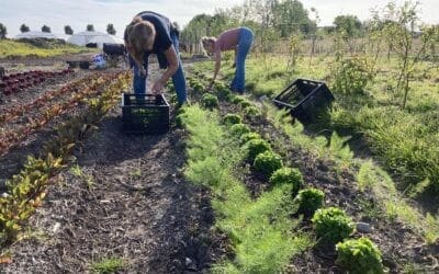 Vacaturebank biodynamische landbouw Warmonderhof