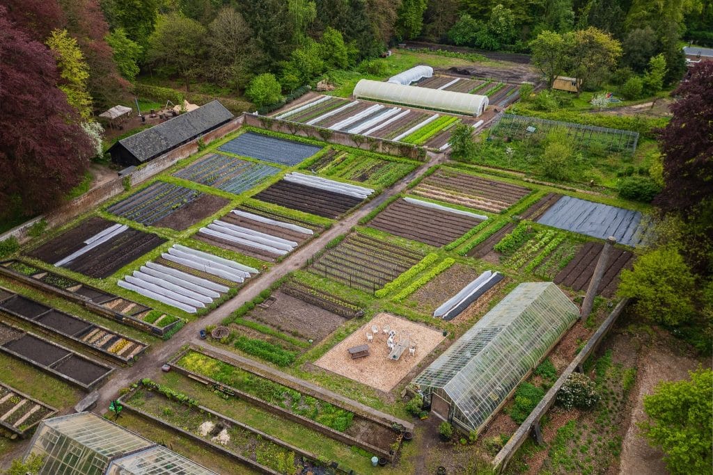 Moestuin_Vollenhoven_1MB