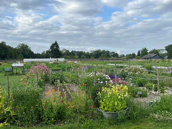 MoestuindeHaar