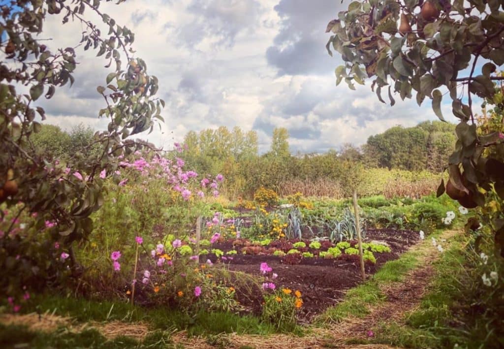 Vacaturebank biodynamische landbouw Warmonderhof