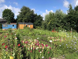 Vacaturebank biodynamische landbouw Warmonderhof