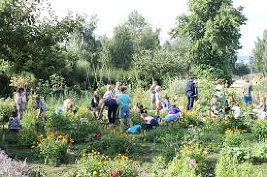 Utrecht-natuurlijk-1