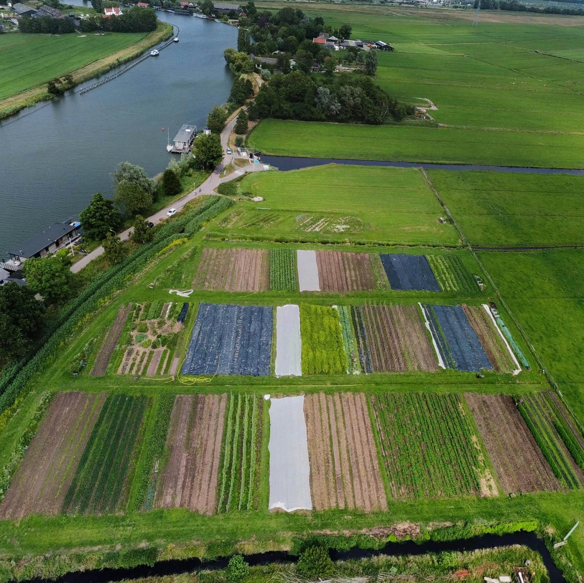 Vers aan de vecht3