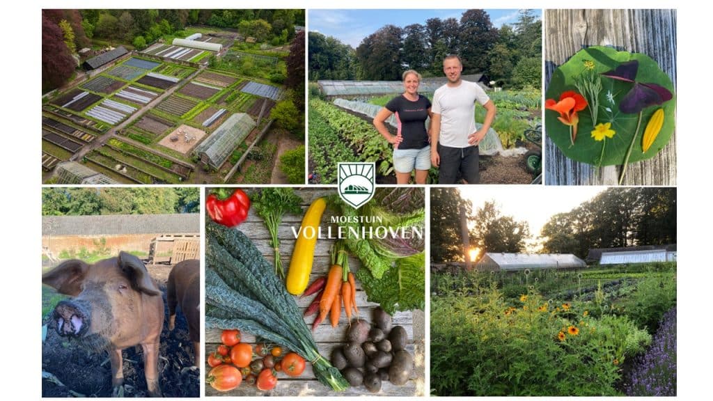 Vacature - stage no-dig moestuin Vollenhoven (De Bilt)