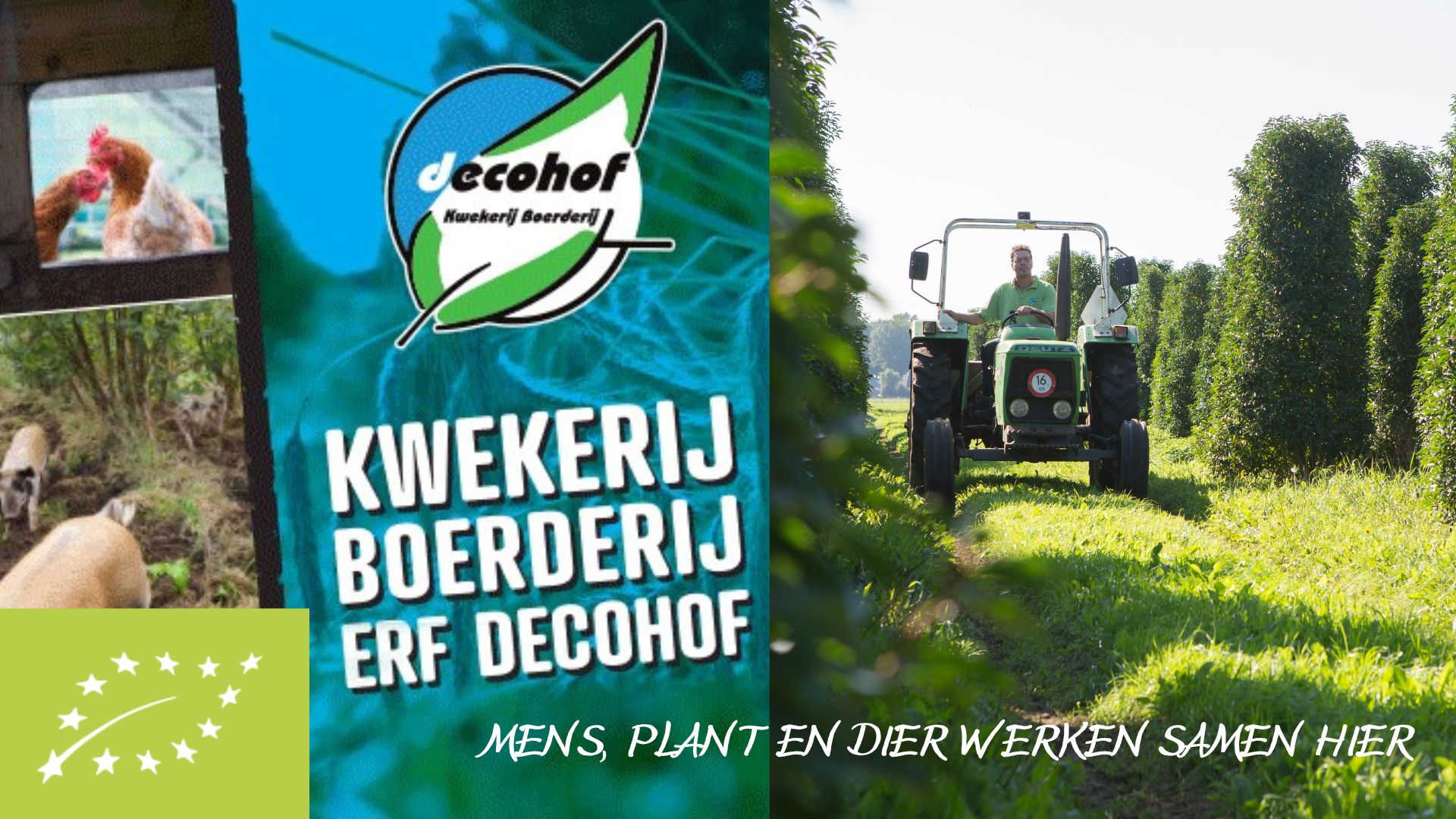 decohof