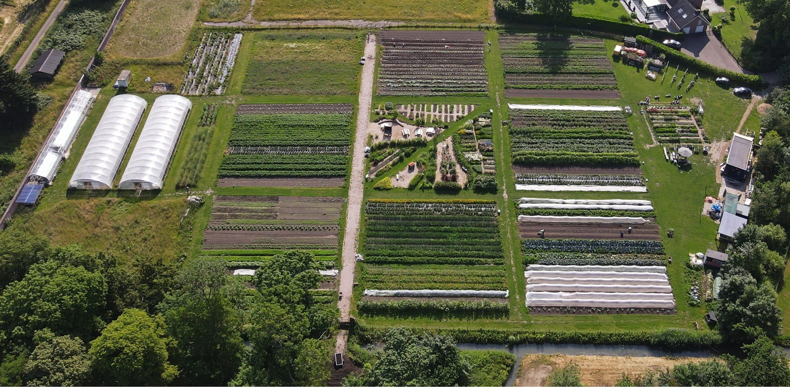 moestuin de haar