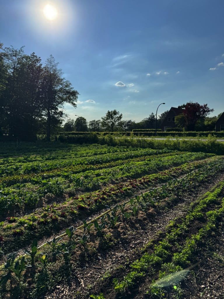 Vacature - stageplek Boeren in het Bos