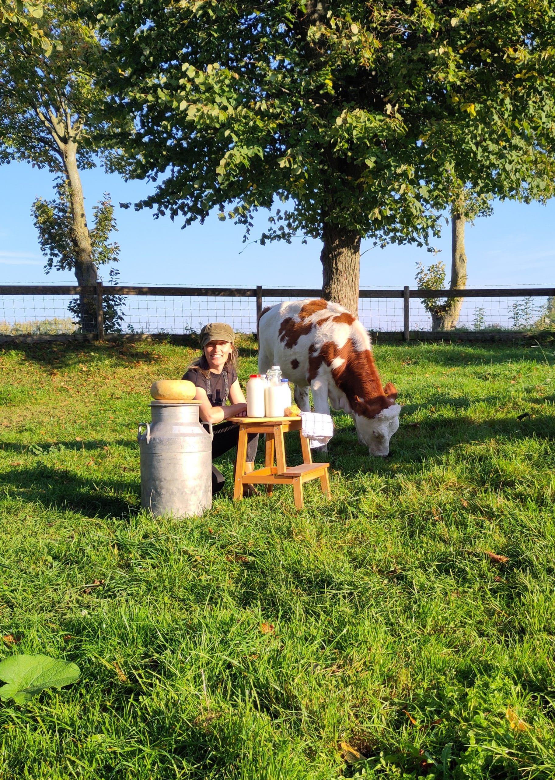 wen met boerderijzuivel met kalfje in de wei